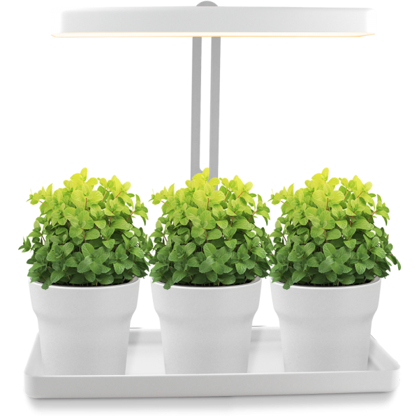 LED Mini-Garten in T-Form