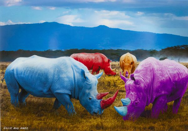 Glasbild Rhino Colore 120x80x0,4cm